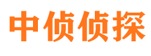 霞山侦探